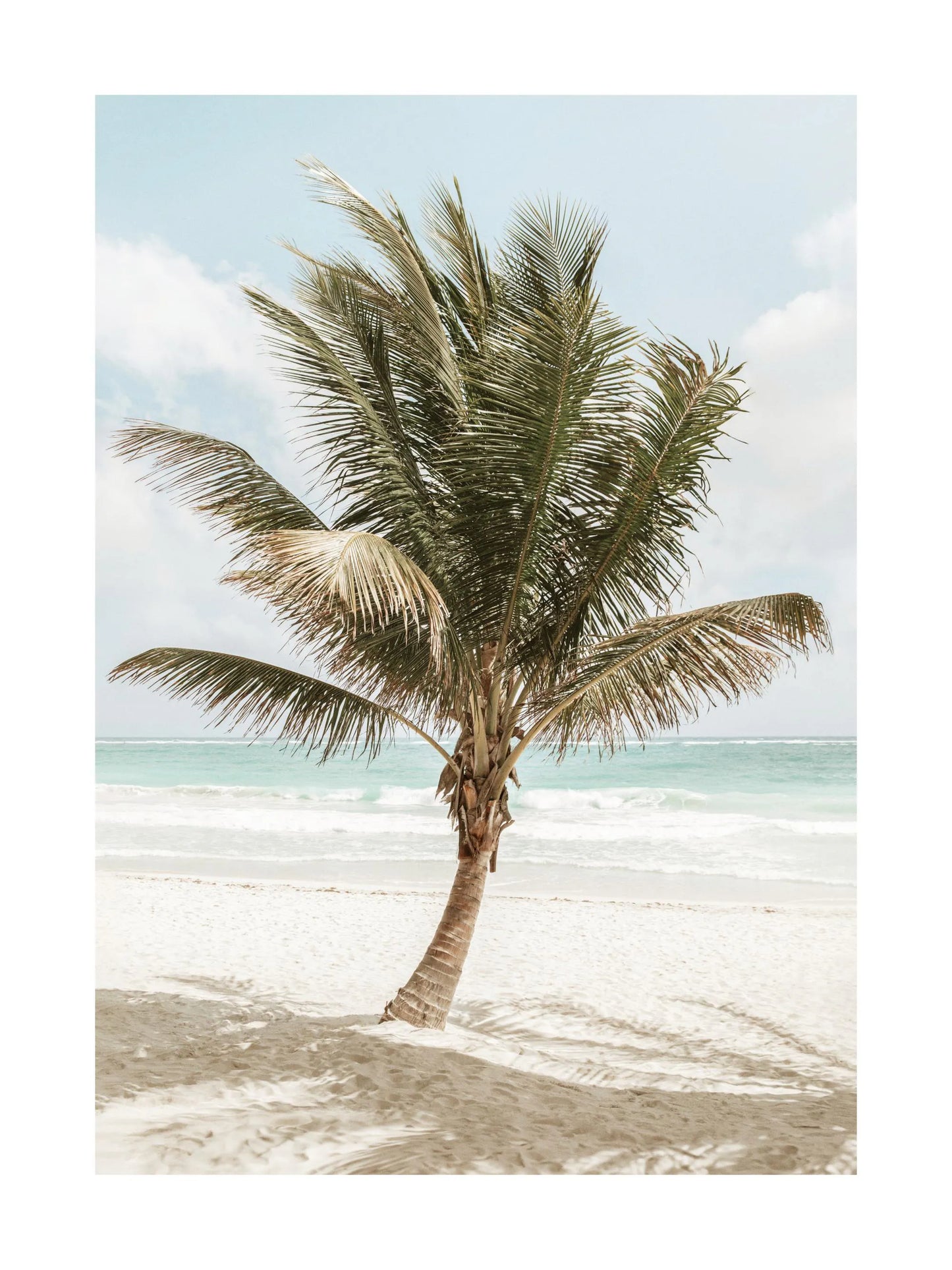 Coastal Breeze